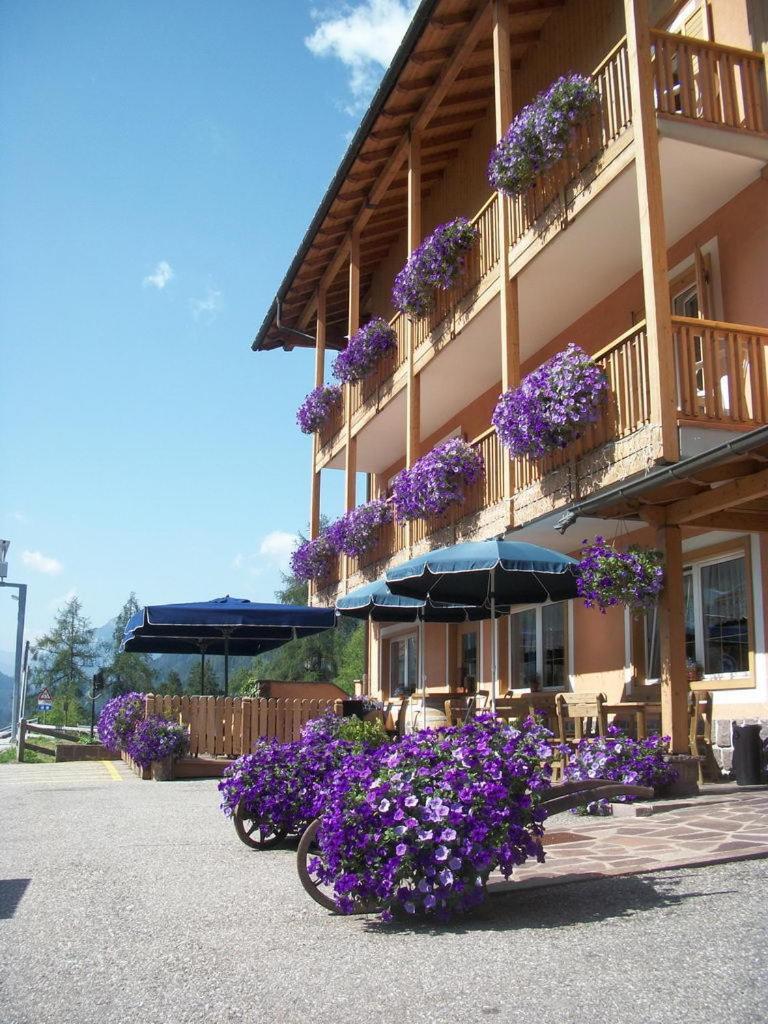 Hotel Vallechiara Moena Esterno foto